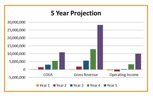 5 Year Projection